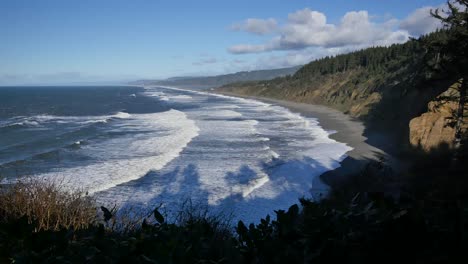 California-Patricks-Point-Agate-Beach-With-Shadows-From-Plants