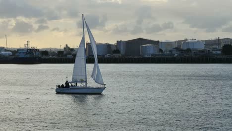 Nueva-Zelanda-Auckland-Bay-Velero-Vela