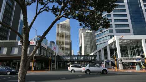 Nueva-Zelanda-árbol-De-Auckland-Sobre-La-Calle-Con-Coches