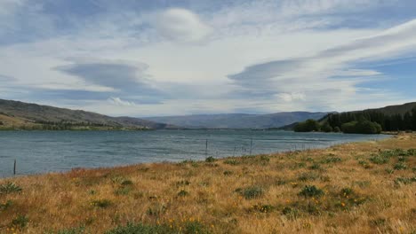 Nueva-Zelanda-Lago-Dunstan-Y-Hierba