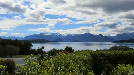 Nueva-Zelanda-Lago-Manapouri-Más-Allá-De-Las-Plantas