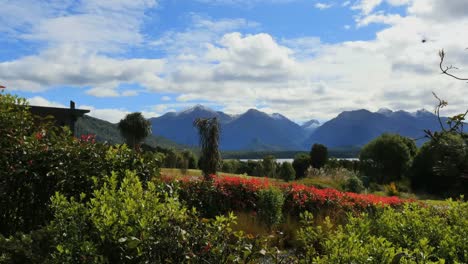 Nueva-Zelanda-Lago-Manapouri-Con-Flores-Rojas