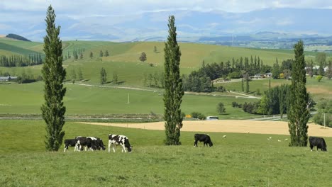 Distrito-De-Mackenzie-Del-Paisaje-De-Nueva-Zelanda