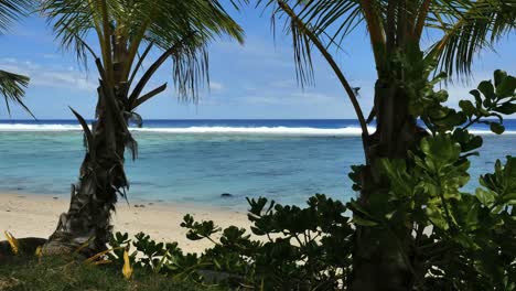 Rarotonga-Palmen-Blaue-Lagune-Und-Wellen-Am-Riff