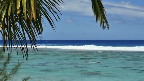 Rarotonga-Felsen-Und-Wellen-Am-Riff-Mit-Schwimmern