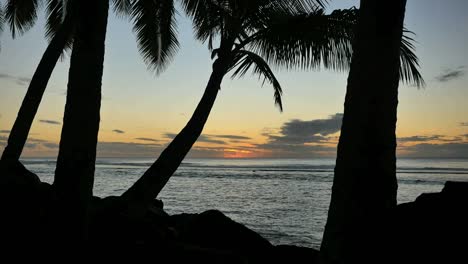 Rarotonga-Sonnenuntergang-Mit-Palmen