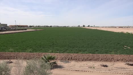 Arizona-Bewässertes-Feld-Bei-Yuma