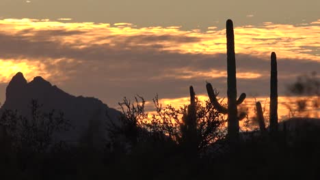 Arizona-Berg-Sonnenuntergang-Pan
