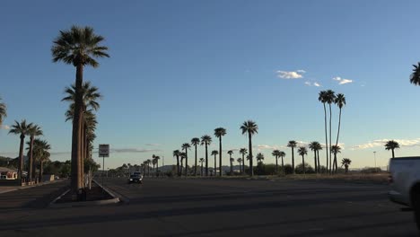 Arizona-Palms-By-Road-With-Traffic-Pan