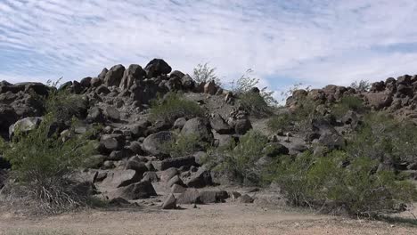 Sartén-Del-Sitio-De-Petroglifos-De-Arizona