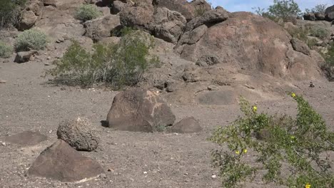 Arizona-Zoom-To-Rock-Art