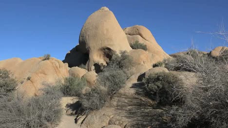 California-Joshua-Tree-Man-At-Skull-Rock-Pan-And-Zoom
