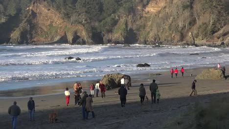 Kalifornien-Trinidad-Menschen-Und-Hunde-Am-Stadtstrand-Pan