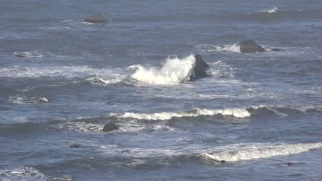 Olas-De-California-En-Rocas-En-Roca-Tortuga