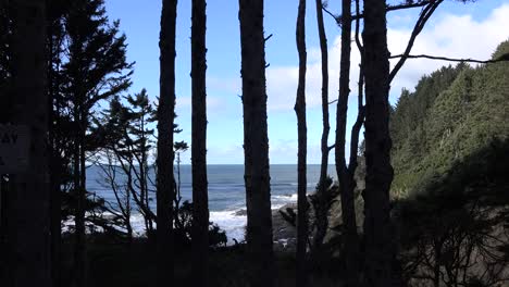 Oregon-Coast-At-Cape-Perpetua-Through-Trees