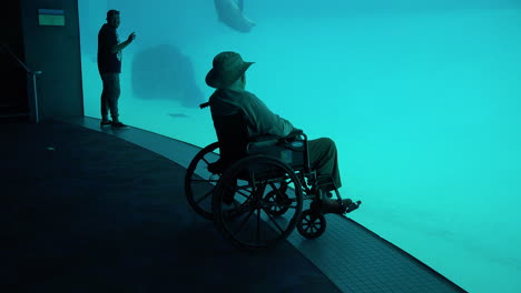 Aquarium-Man-Sitting-In-Wheelchair