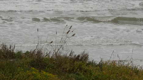 Texas-Golfküste-Gras-Und-Wellen