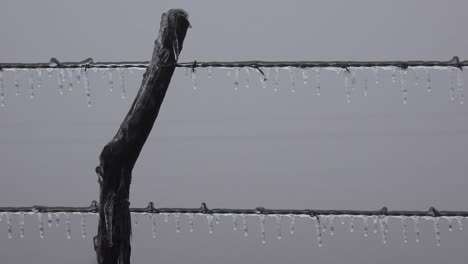 Texas-Eiszapfen-Am-Zaun-On