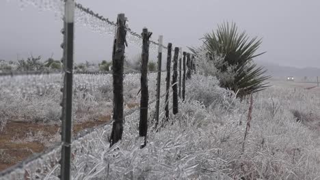 Texas-Cerca-Helada-Con-Coche-En-Segundo-Plano.