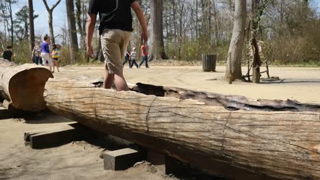 Virginia-Jamestown-Boy-Jumps-Out-Of-Log