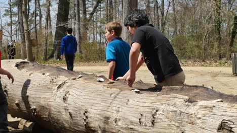 Virginia-Jamestown-Children-Scraping-On-Log