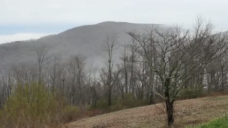 Virginia-Skyline-Drive-Misty-Hill