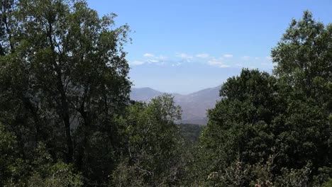 Chile-Andes-Through-Trees