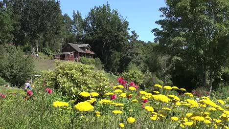 Chile-Frutiliar-Zooms-Y-Sartenes-A-Casa-Antigua