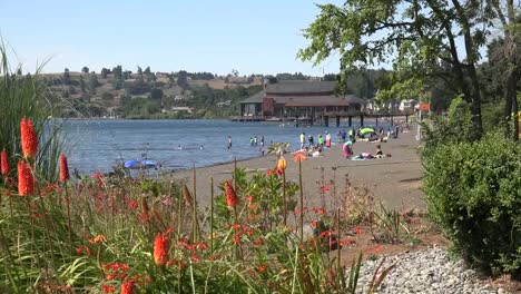 Chile-Frutillar-Beach-On-Lake