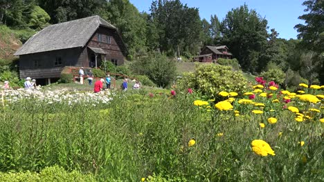 Jardín-Frutillar-De-Chile-Con-Flores-Amarillas