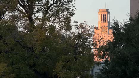 Torre-De-La-Universidad-De-Texas-Austin-A-Través-De-árboles