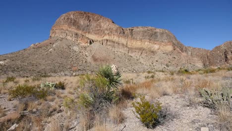 Texas-Big-Bend-Burro-Mesa-And-Blooming-Yucca