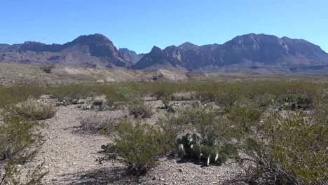 Texas-Big-Bend-Wüstenboden-Und-Berge