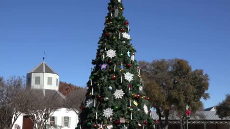 Texas-Fredericksburg-Christmas-Tree-And-Historic-Building-Zoom-Out