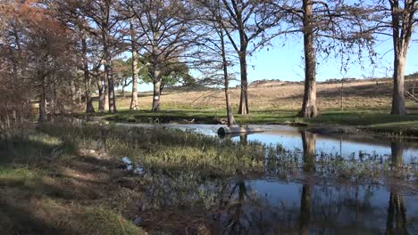 Vista-De-La-Corriente-Del-Country-De-La-Colina-De-Texas