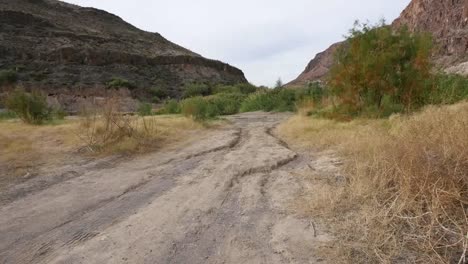 Texas-River-Road,-Die-Unbefestigte-Straße-Hinunterbewegt