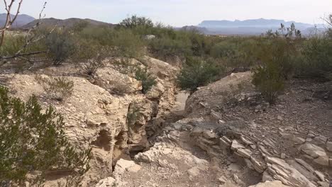 Texas-Terlingua-Gully-Pfannen-Aus-Strauch