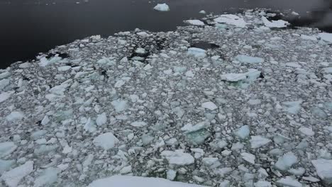 Antártida-Lemaire-Hielo-Impetuoso