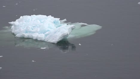 Antarctica-Iceberg-In-Water