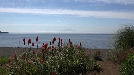 Chile-Saust-Vorbei-An-Heißen-Pokerblumen-Zum-Vulkan