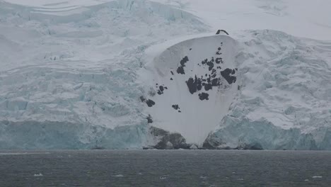 Antarktis-King-George-Island-Gletscher