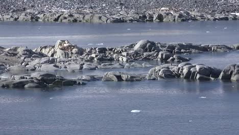 Antarktis-Neumayer-Kanal-Felsen-Und-Sprudelndes-Wasser