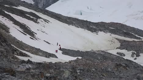 Menschen-Aus-Der-Antarktis-Klettern-Auf-Ein-Schneefeld