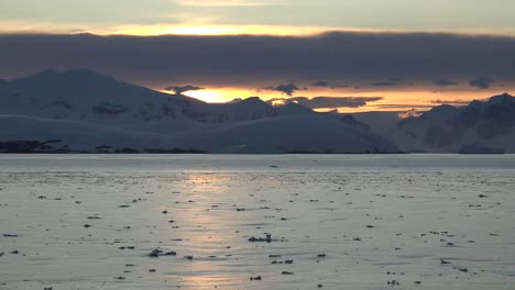 Antarctica-Zoom-In-Along-Sunlight-On-Water