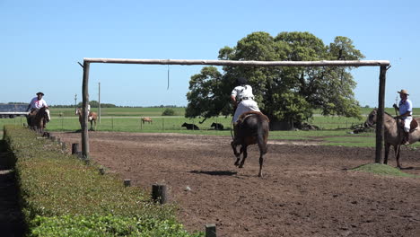 Argentinien-Estancia-Gaucho-Bekommt-Ring