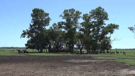 Argentinien-Estancia-Landschaft-Mit-Bäumen-Und-Pferden