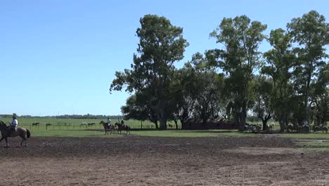 Argentinien-Estancia-Landschaft-Mit-Bäumen