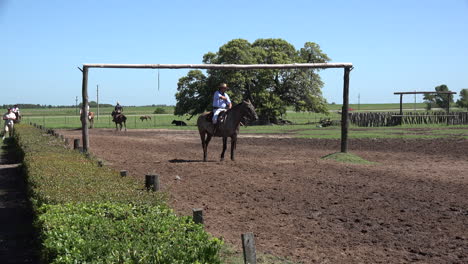 Argentinien-Estancia-Zoomt-Auf-Ringe