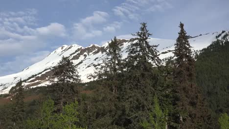 Alaska-Alyeska-Mountain-And-Evergreens