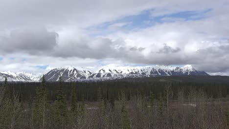 Alaska-Denali-Park-Alaska-Range-Pan